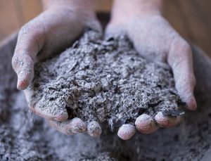 Asche als Dünger – Welche Asche für welche Pflanzen? Asche als Dünger