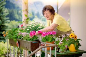 24 Tipps für Balkon- und Zimmerpflanzen Balkon Zimmerpflanzen Tipps