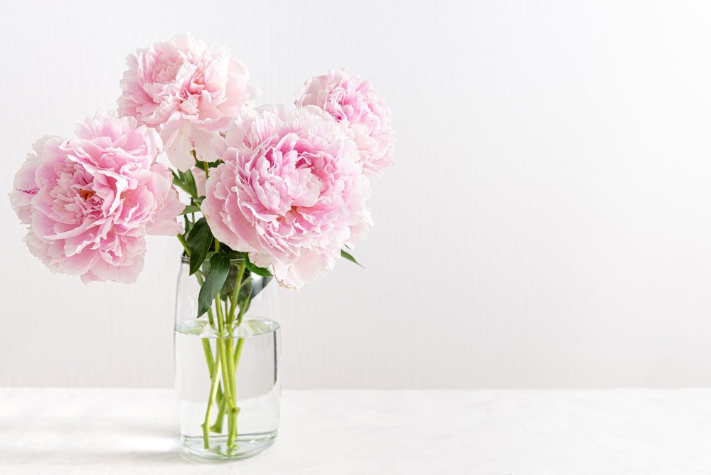Rosa Blumen in Vase.