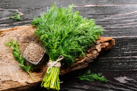 Dill