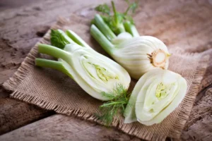 Fenchel