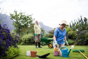 Gartenarbeit erleichtern