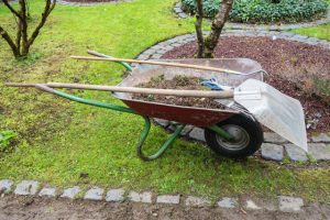 Tipps für das richtige Mulchen Gartentipps für die Gartenarbeit