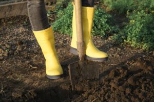 Gelbe Gummistiefel bei der Gartenarbeit.