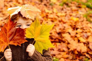 Herbstlaub sinnvoll nutzen