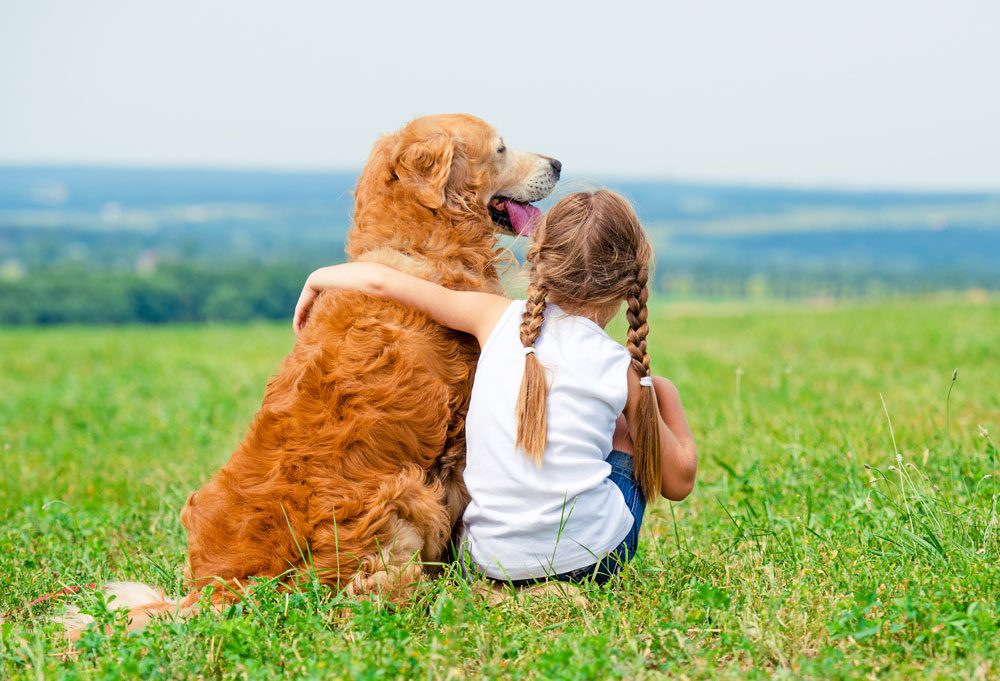 Hüftdysplasie beim Hund