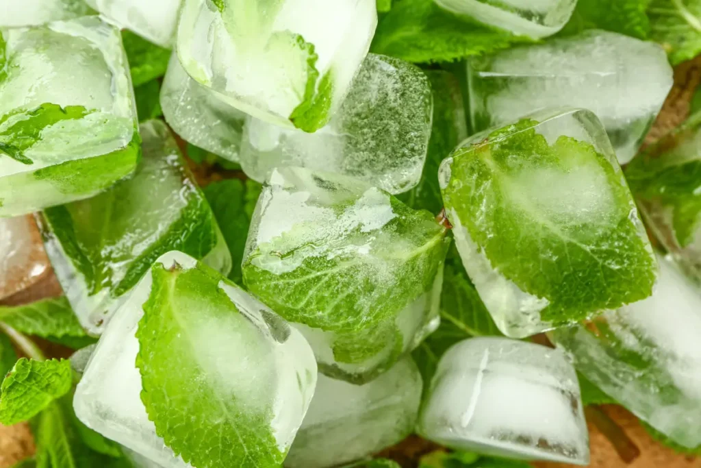 Eiswürfel mit Minze Kräuter einfrieren - 5 einfache Möglichkeiten mit Anleitung vorgestellt