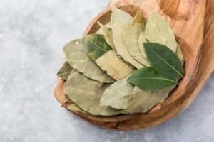 Lorbeer - Unterschätztes Gewürz mit leicht bitterer Note