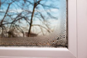 Luftfeuchtigkeit senken und Schimmel vermeiden Luftfeuchtigkeit senken