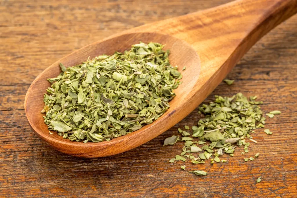Oregano - Herkunft, Verwendung und gesundheitliche Wirkung