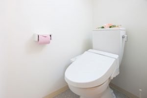 Spülkasten WC entkalken