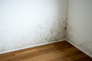 Stockflecken entfernen – Hausmittel & Tipps für Kleidung, Bad & Wände Stockflecken entfernen