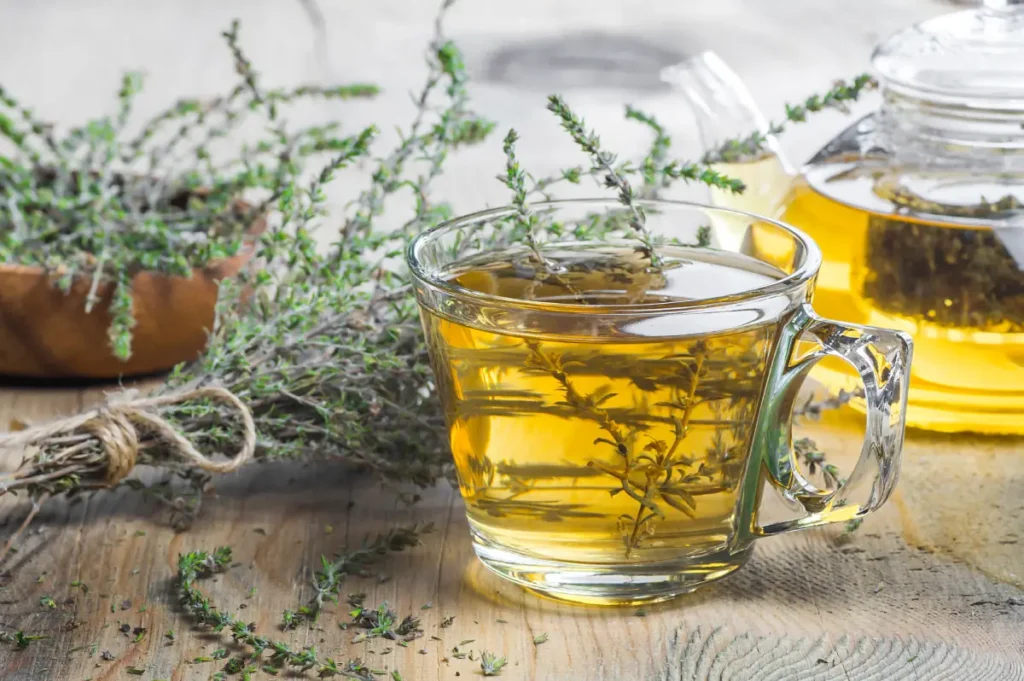 Thymiantee Thymian - Informationen, Sorten und Rezepte mit Thymian vorgestellt