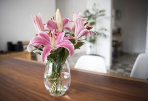 Vase reinigen