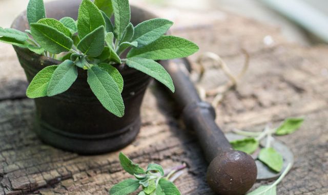 © © la_vanda - Fotolia.com Wanzen bekämpfen