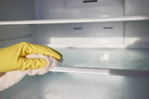 Wasser im Kühlschrank