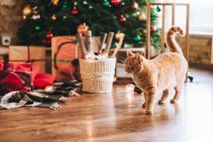 Weihnachtsbaum im Tierhaushalt