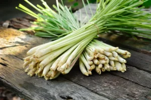 Zitronengras