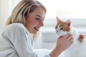 Ein Zuhause für die Katze Zuhause für die Katze